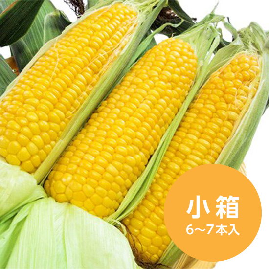 ベジフルコーン　小箱（6-7本入）